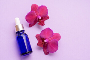 Fototapeta na wymiar Blue glass bottle filled by essence or serum with orchid extract on purple background with bright blossoming orchids phalaenopsis. Eco cosmetic concept, copy space