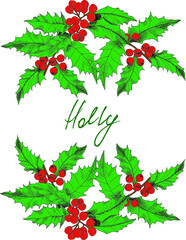 Holiday's postcard template with hand-drawn, colored holly branches, and writing space in the middle. Vector illustration.