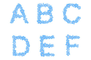 tender blue Forget- me -nots alphabet. Summer abc on white background. Part 1