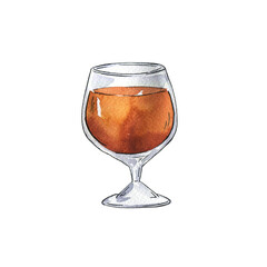 Glass with cognac or beer isolated on white background. Hand drawn watercolor and ink illustration.