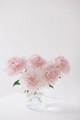 Obraz na płótnie Canvas Beautiful pink peonies for catalog or online store. Floral shop concept. Beautiful fresh cut bouquet. Flowers delivery