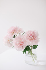 Beautiful pink peonies for catalog or online store. Floral shop concept. Beautiful fresh cut bouquet. Flowers delivery
