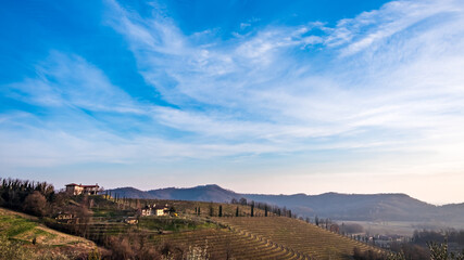 Spring sunset in the vineyards of Collio Friulano