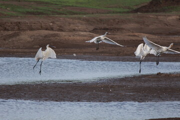 Fly high above the sky