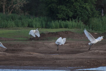 Fly high above the sky