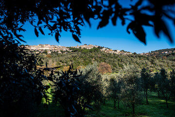 Castagneto Carducci, Livorno - Tuscany, Italy