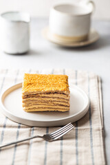 Delicious slice of homemade honey cake on white background.