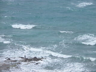 surfer on the beach