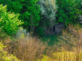 Hidden entrance to World War 2 bunker at the side of Marian rock. Location: Ústí nad Labem, Czech Republic