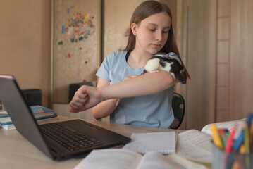 Fototapete bei efototapeten.de bestellen   