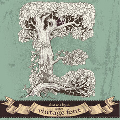 Magic grunge forest hand drawn by a vintage font - E
