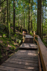 A wooden walkway and staircase on a footpath goes through forest  Located in Lynn Canyon Park, North Vancouver British Columbia Canada