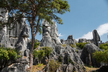  February 2019, Kuniming, Yunnan Stone Forest Geological Park , Shilin County.  The Kunming Stone Forest, Shilin in Chinese, is a spectacular set of limestone groups 