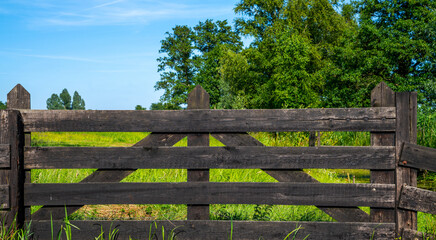 Old wooden fence. Summer farmland fence view. Farm fence in summer scene.