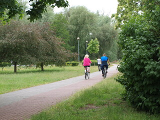 Ludzie w parku jadą na rowerach 