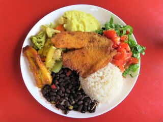 traditional Gallo pinto with fish in Costa Rica