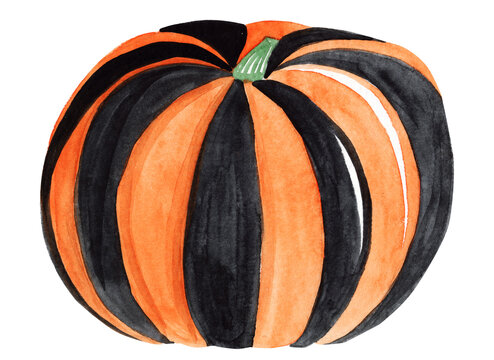 watercolor black and orange pumpkin isolated on white background for halloween decoration