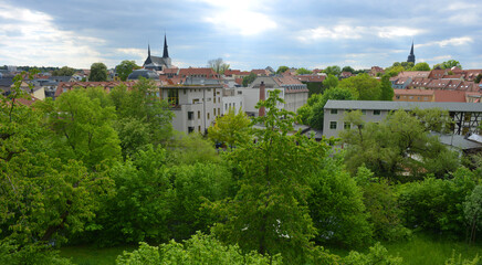 Fototapeta na wymiar Weimar, Germany, panorama view over the green Ilm river and the old town in the background
