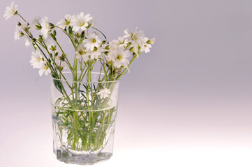 Wildflowers in a glass cup with water. Close-up. Summer