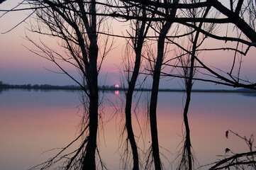 Obraz premium spring sunset on the lake