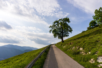 The spring panorama from the peaks of the Italian Prealps at sunset near the town of Eupilio, Lombardy, Italy - May 2020.
