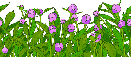 Pretty hand drawn seamless border in cute garden flowers of peonies. Floral background for dress, home design, wallpaper, print or other. Pink peony buds.