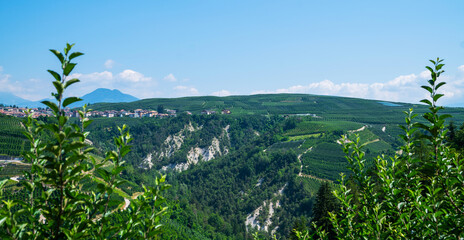 Fototapeta na wymiar Panoramic view of the Val di Non at summer season. Scenic view of vineyards and apple tree garden in Trentino-Alto Adige region of South Tyrol, Italy. Beautiful small Alpine village on a background.