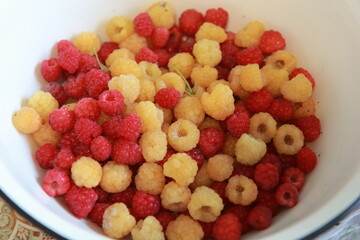 colored raspberries