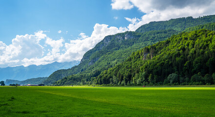 Fototapeta na wymiar Green fields and famous Lauterbrunnen valley with high cliffs in background, Oberland, Switzerland, Europe.