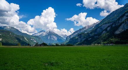 Fototapeta premium Green fields and famous Lauterbrunnen valley with high cliffs in background, Oberland, Switzerland, Europe.