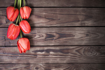 red tulips on dark wooden background