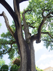 Vidrá, Gerona, Barcelona