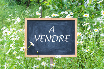 Chalkboard or signboard For sale on daisy meadow. Space for text