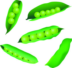 Peas. Healthy vegan food. Vector illustration.