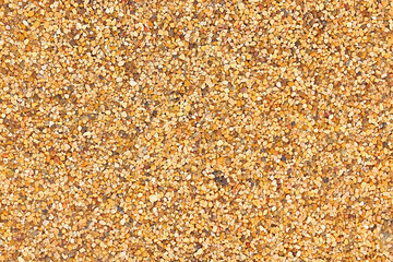 Color small stone wall texture background, ground stone washed floor, made of small sand stone mixed. Multi-colored stones in detail.