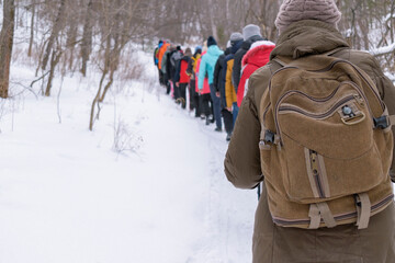 People walk uphill in woods in winter. Many tourists lined up on trail. View from back. Tourist...