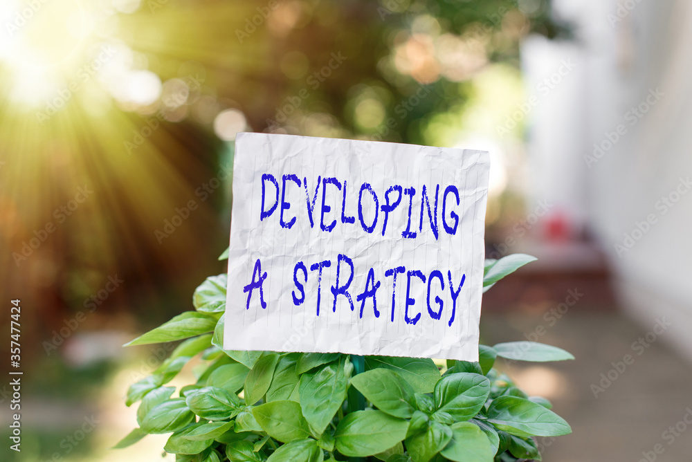 Poster conceptual hand writing showing developing a strategy. concept meaning discussing the ideas for new 