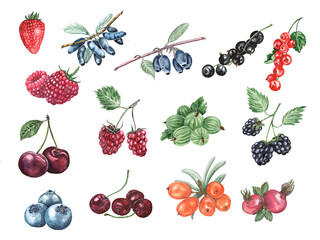 Watercolor illustration of berries on a white background