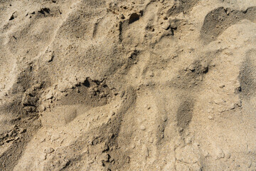 Fototapeta na wymiar Beachvolleyball Sand
