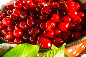 sour cherries in a bowl