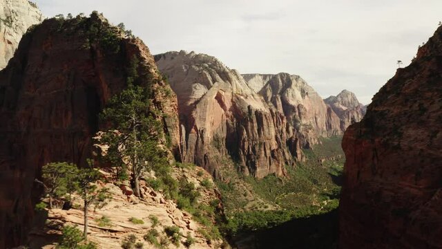 Cinematic aerial of mountains in Zion National Park, scenic nature of Utah, green canyon landscape