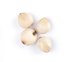 four grains of sorghum, shot large on a white background