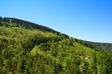 skrzyczne mountain forest