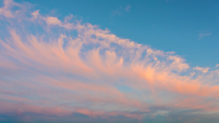 Naklejka na ściany i meble Sunset sky with soft clouds as background