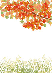 秋の風景もみじとススキ畑のベクターイラスト