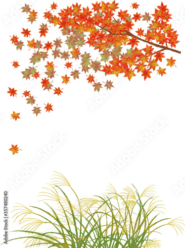 秋の風景 葉が舞うもみじと風に揺れるススキのベクターイラスト Wall Mural Skyflower