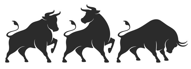 Fototapeta Bull set. Stylized silhouettes of standing in different poses and butting up bulls. Isolated on white background. Bull logo designs set. Vector illustration. obraz