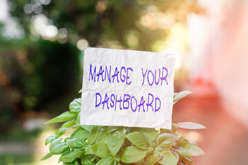 Conceptual hand writing showing Manage Your Dashboard. Concept meaning web landing page to manage...