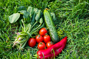 Close up of many fresh vegetables on green grass