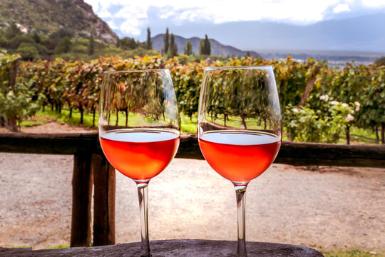 Two glasses of rose wine in a vineyard in Cafayate, Salta, Argentina
